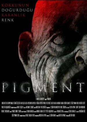 Pigment 2024